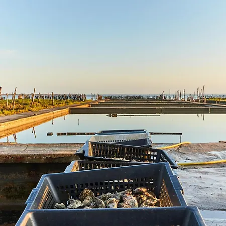 Confortable Pour 4 Personnes Proche - Fr-1-323-423 Saint-Jean-de-Monts