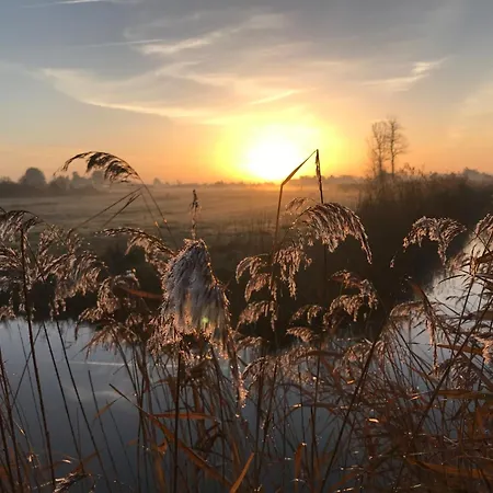 Confortable Pour 4 Personnes Proche - Fr-1-323-423