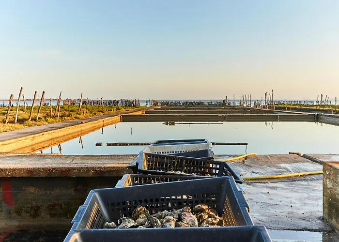 Confortable Pour 4 Personnes Proche - Fr-1-323-423 סן ז'אן דה מון